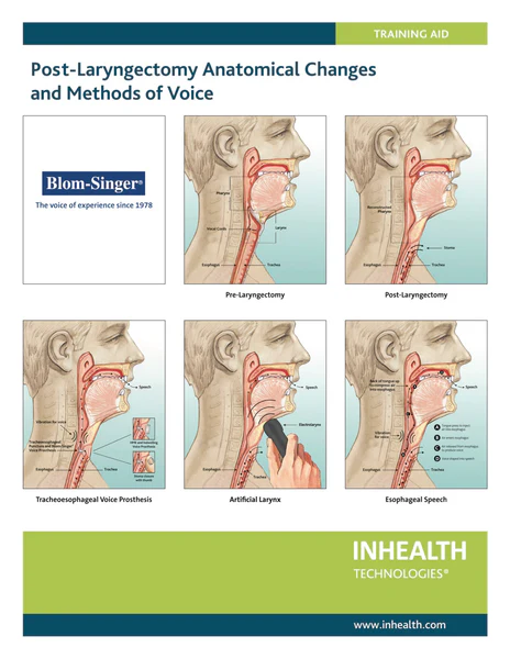 ANATOMICAL_TRAINING_AID_600x600