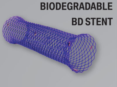 ELLA Oesophageal Stents_Biodegradable