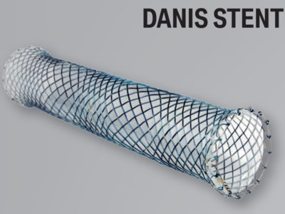 ELLA Oesophageal Stents Danis