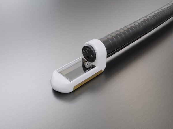 EndoVE - Endoscopic Electroporation