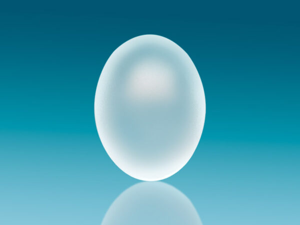 N&S Testicular Prostheses - Image 2